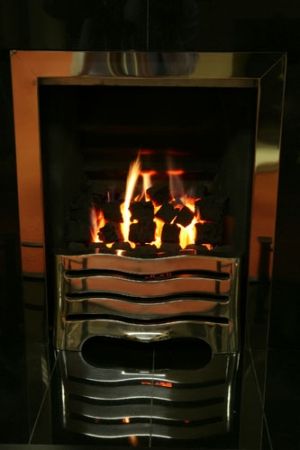 Gas Fire Silver Ornate with Coals